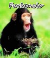 Furkencio ``el mono´´